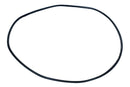 BLUE TORRENT IG VARIABLE SPEED Strainer Housing O-ring