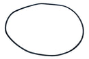 BLUE TORRENT IG VARIABLE SPEED Strainer Housing O-ring